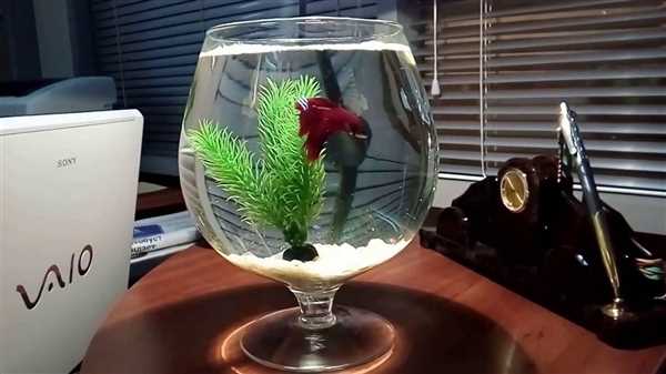 3.