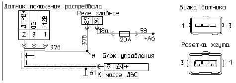 Тип