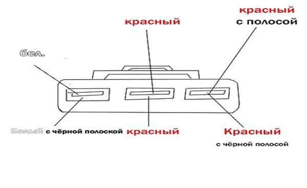 Тип